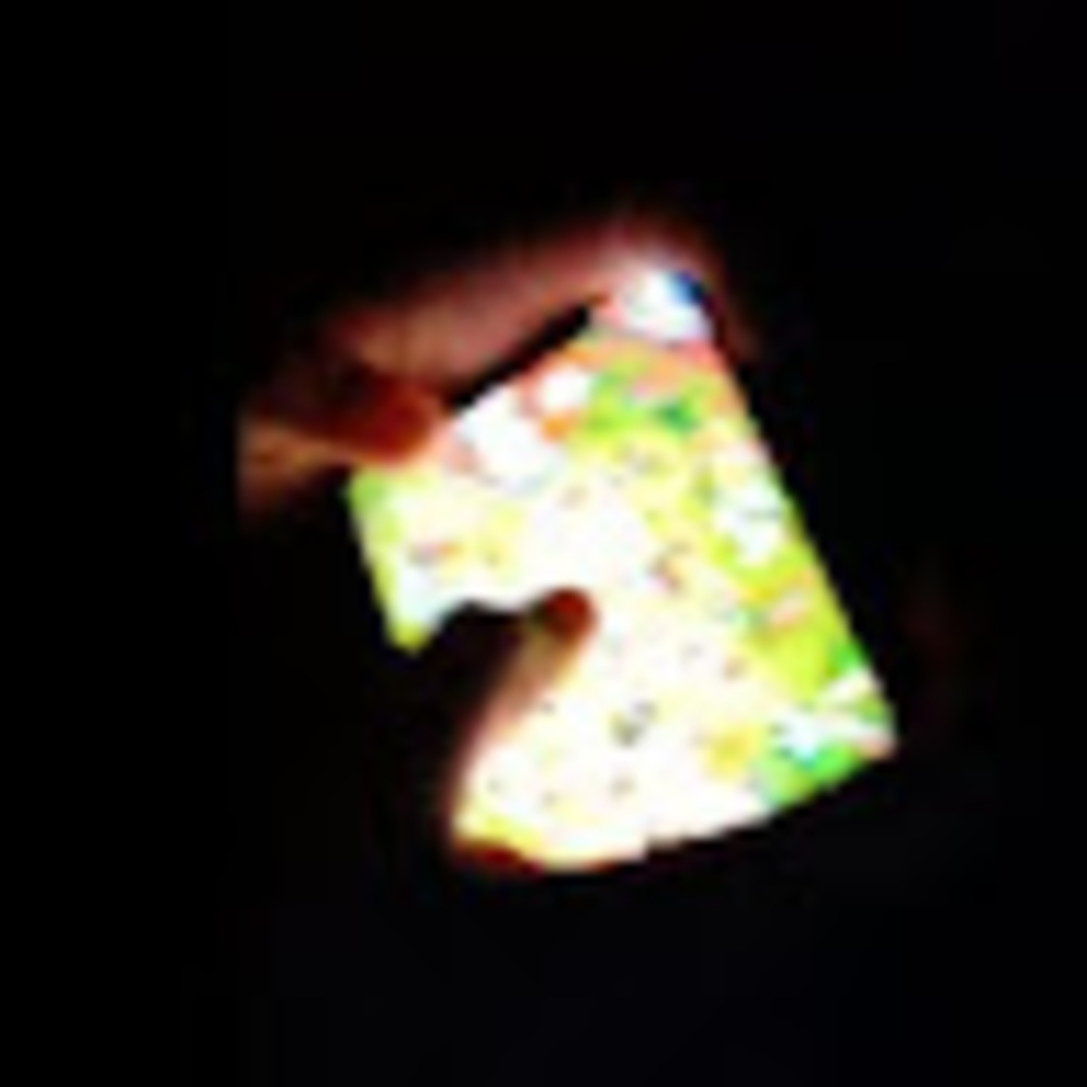 Meet your Posher, Brilee